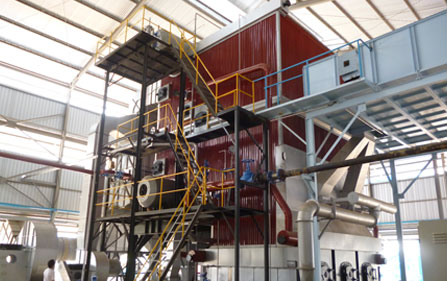 Water Tube Boiler